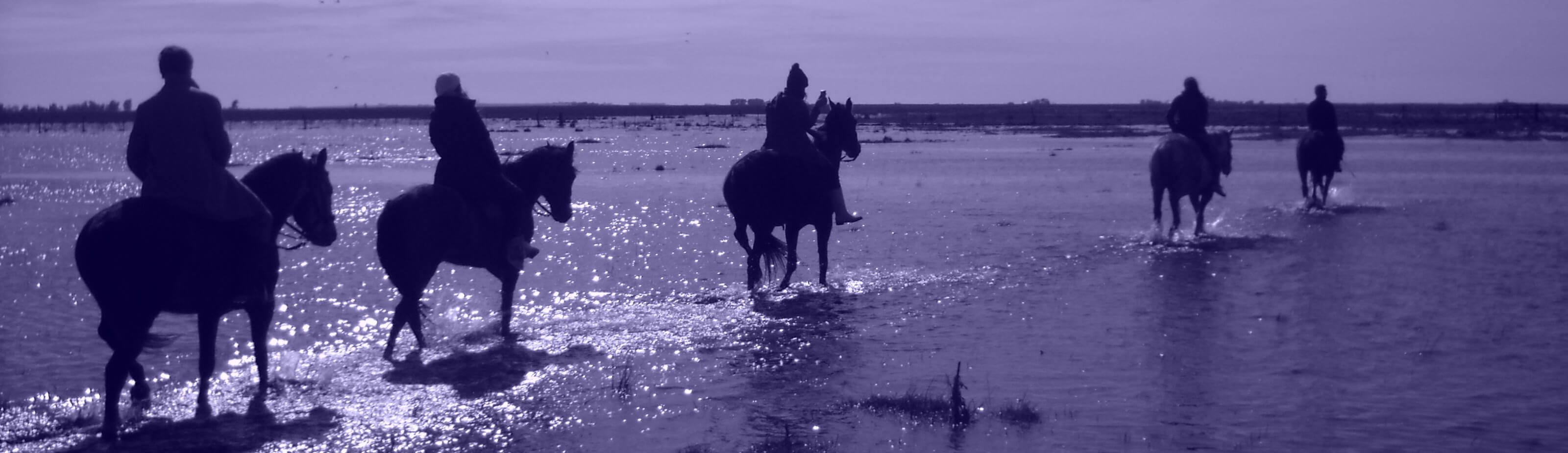 Kukala Horses and riders